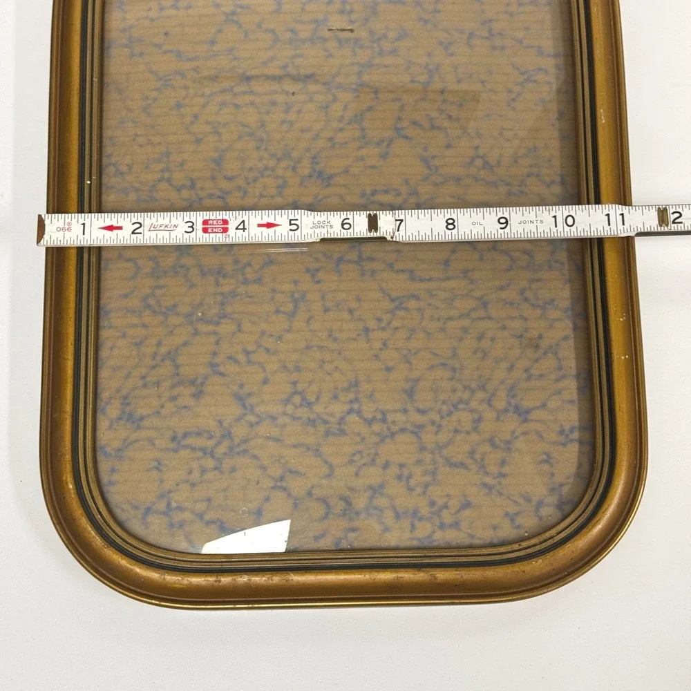 Antique 1920s Cathedral Arched Convex Bubble glass Ornate Picture Frame
